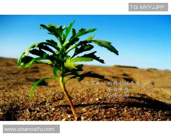 琼斯的传奇人生与不凡成就揭示了奋斗与坚持的力量 琼斯的传奇人生与不凡成就揭示了奋斗与坚持的力量